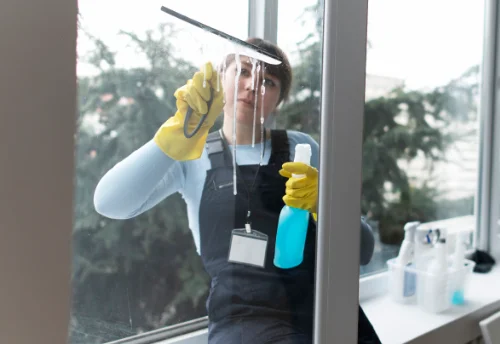 Nettoyage de vitres intérieures et extérieures à Châtel-Guyon